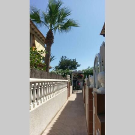 La Casa De La Palmera Διαμέρισμα Τορεβιέχα Εξωτερικό φωτογραφία