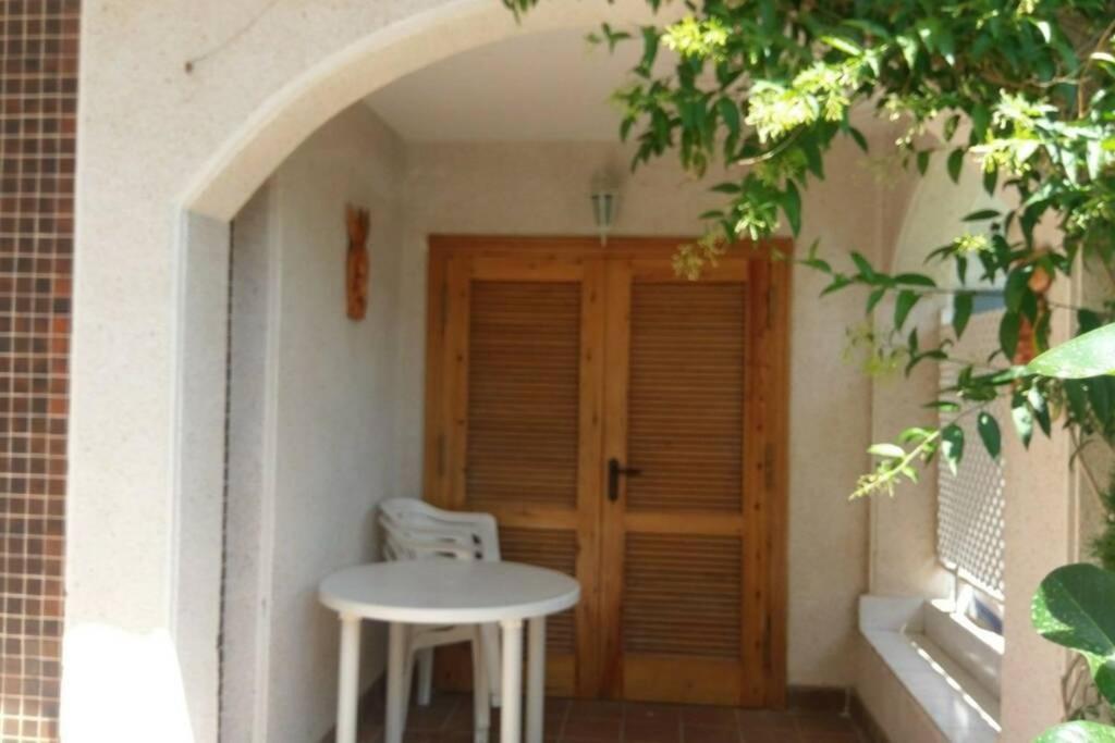 La Casa De La Palmera Διαμέρισμα Τορεβιέχα Εξωτερικό φωτογραφία