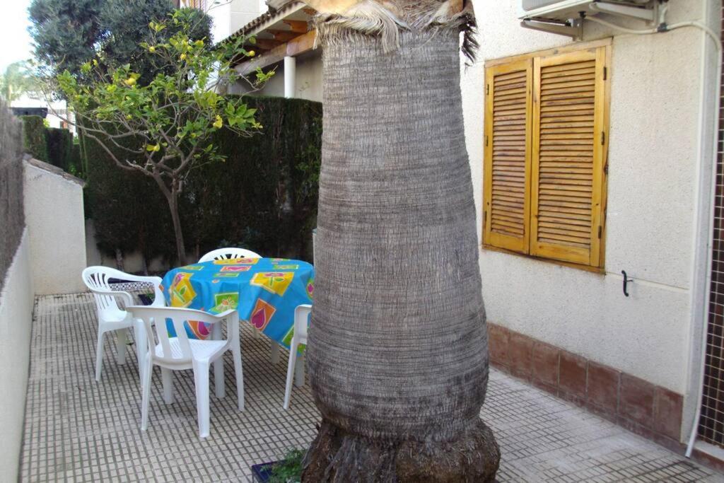 La Casa De La Palmera Διαμέρισμα Τορεβιέχα Εξωτερικό φωτογραφία
