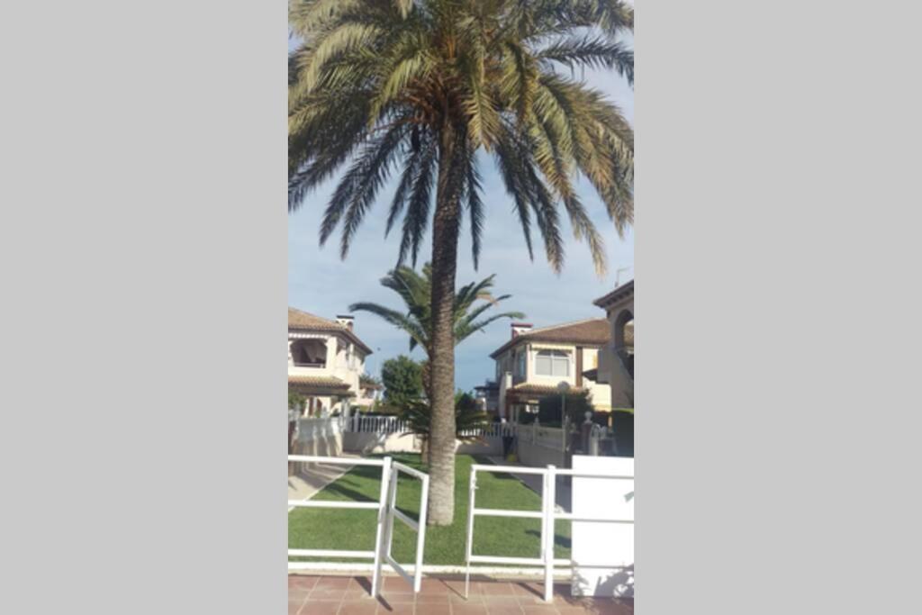 La Casa De La Palmera Διαμέρισμα Τορεβιέχα Εξωτερικό φωτογραφία