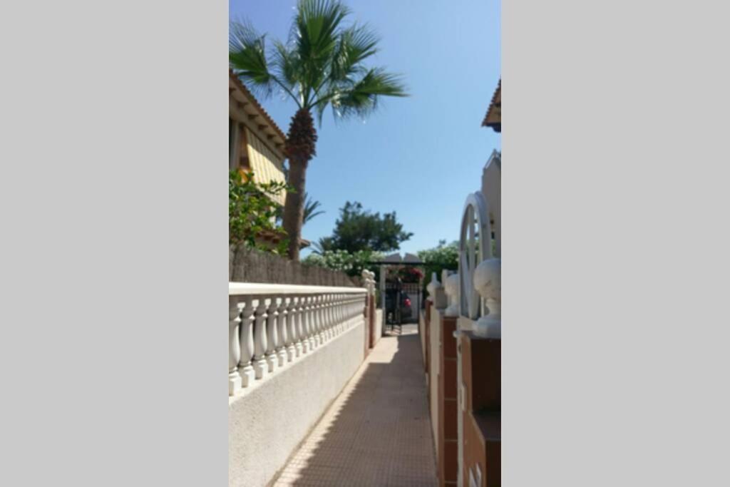 La Casa De La Palmera Διαμέρισμα Τορεβιέχα Εξωτερικό φωτογραφία