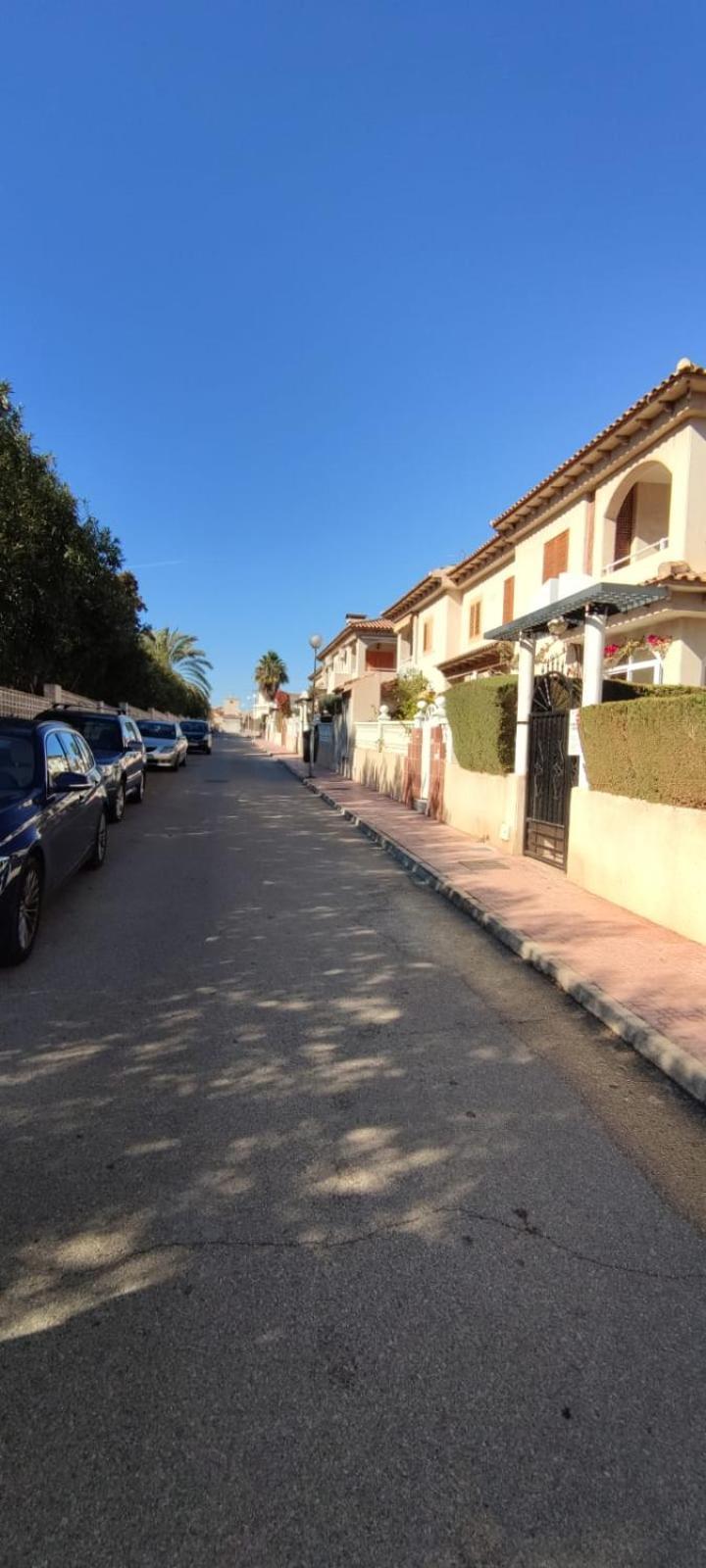 La Casa De La Palmera Διαμέρισμα Τορεβιέχα Εξωτερικό φωτογραφία